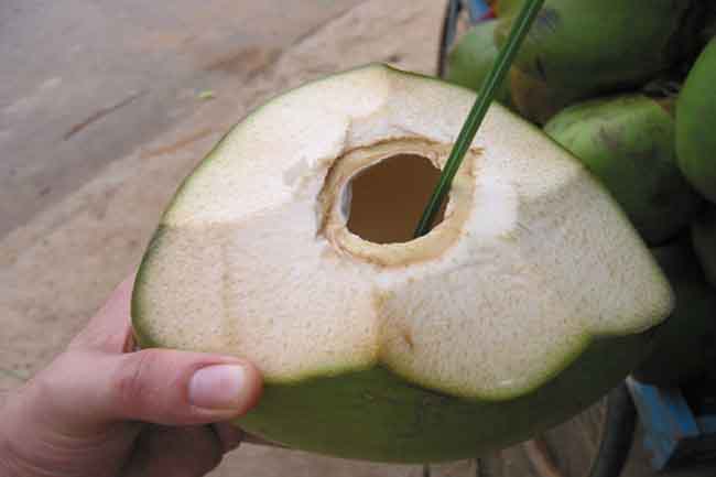 नारियल पानी